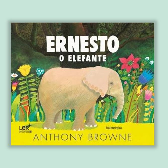 capa do livro